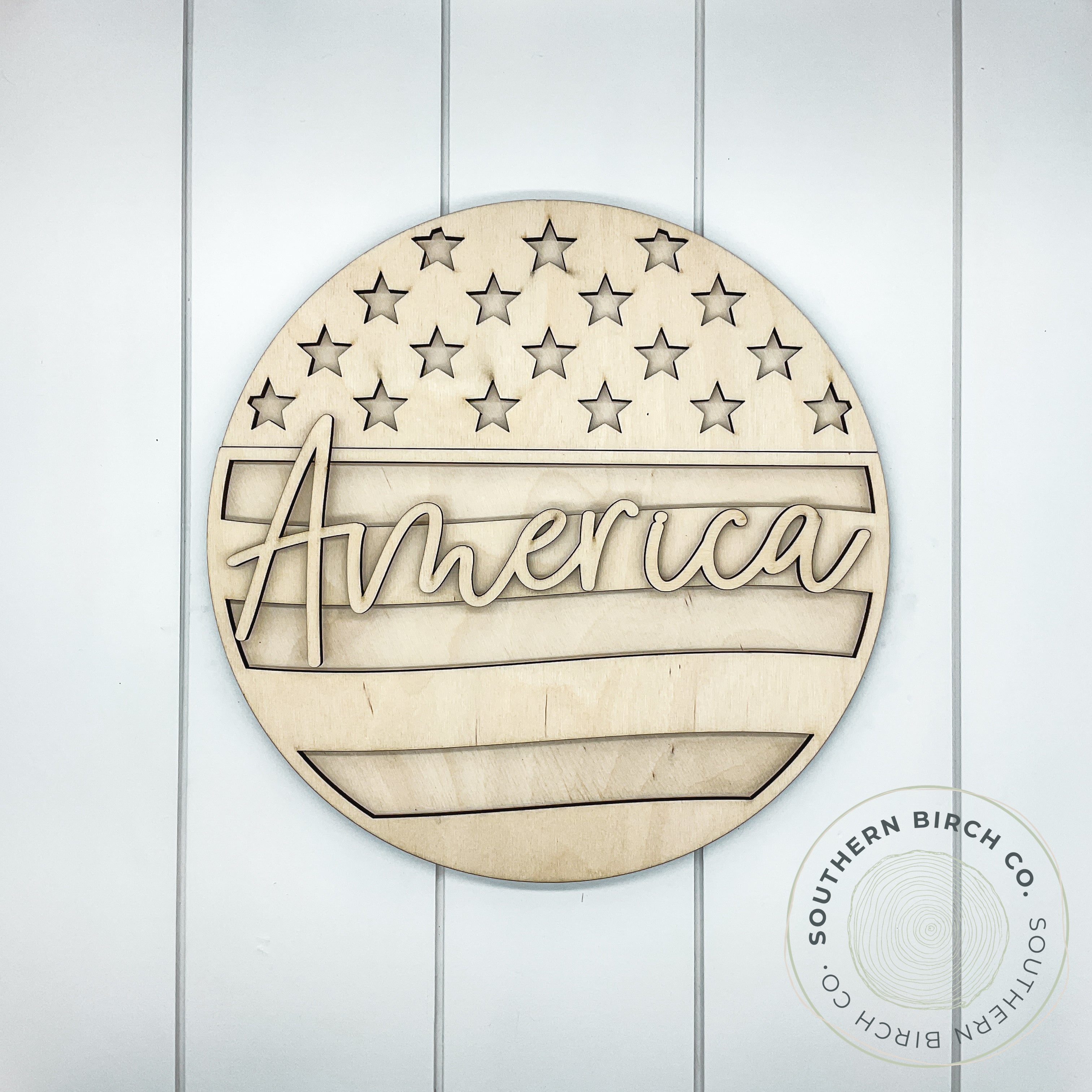 America 3D Round Blank