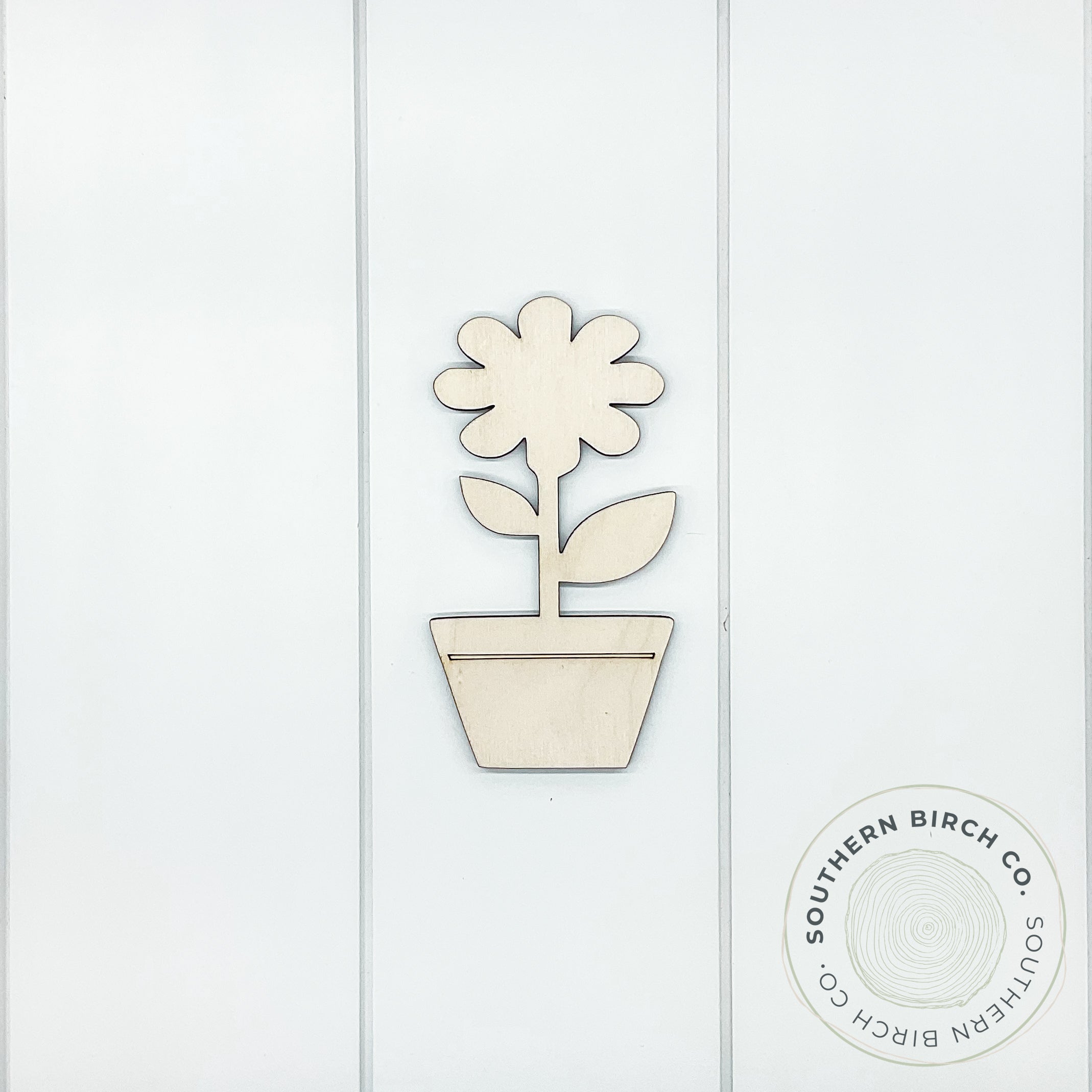 Flower Blank (Potted)