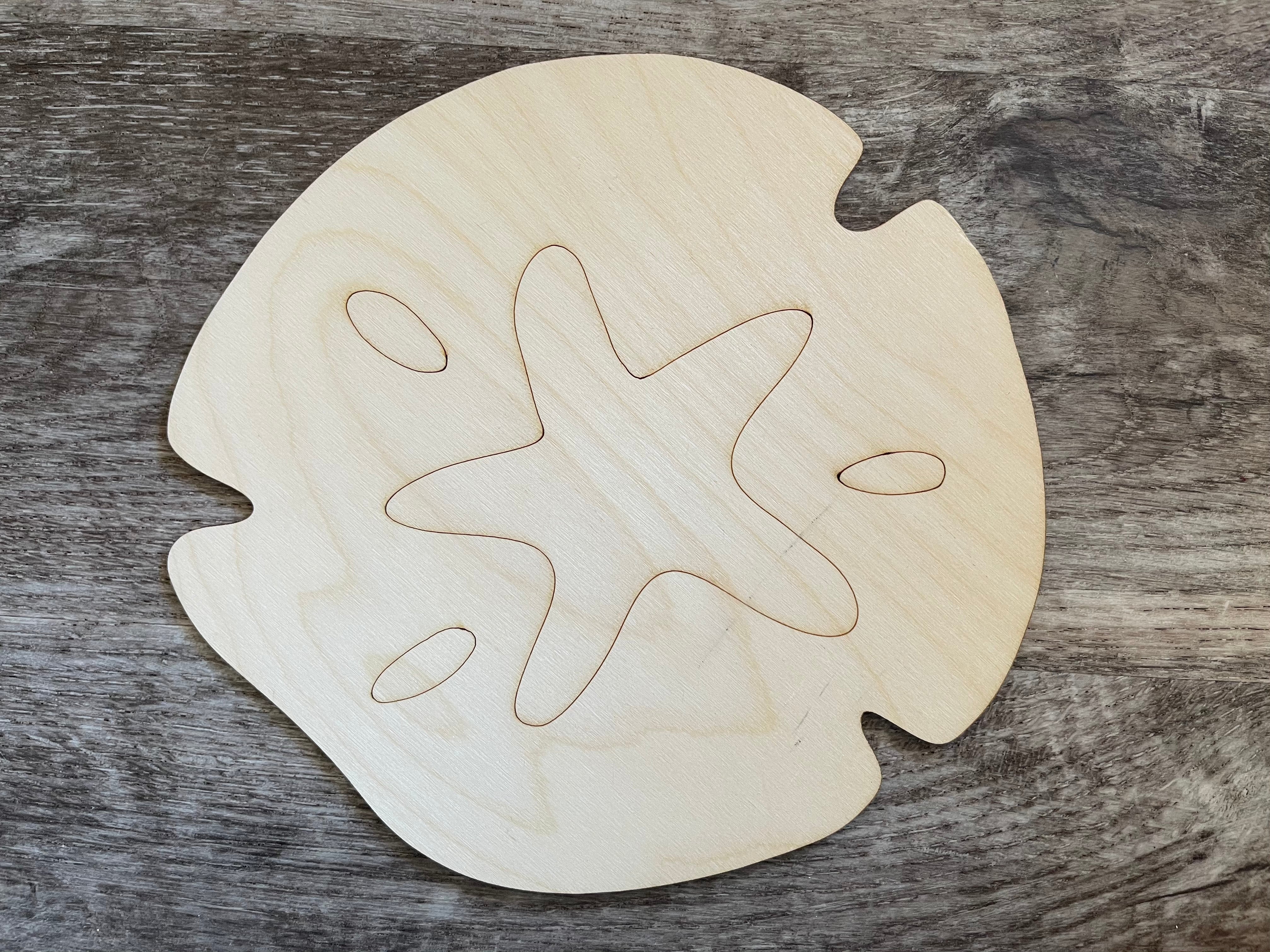 Sand Dollar Blank