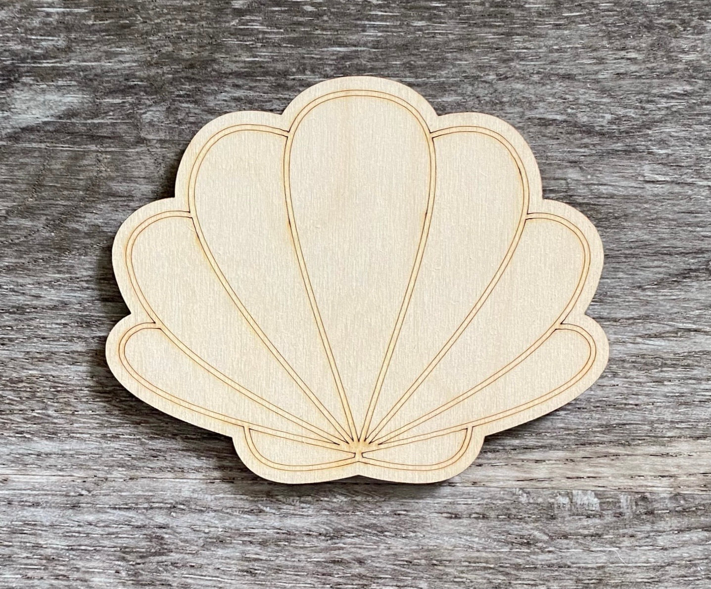 Sea Shell Blank