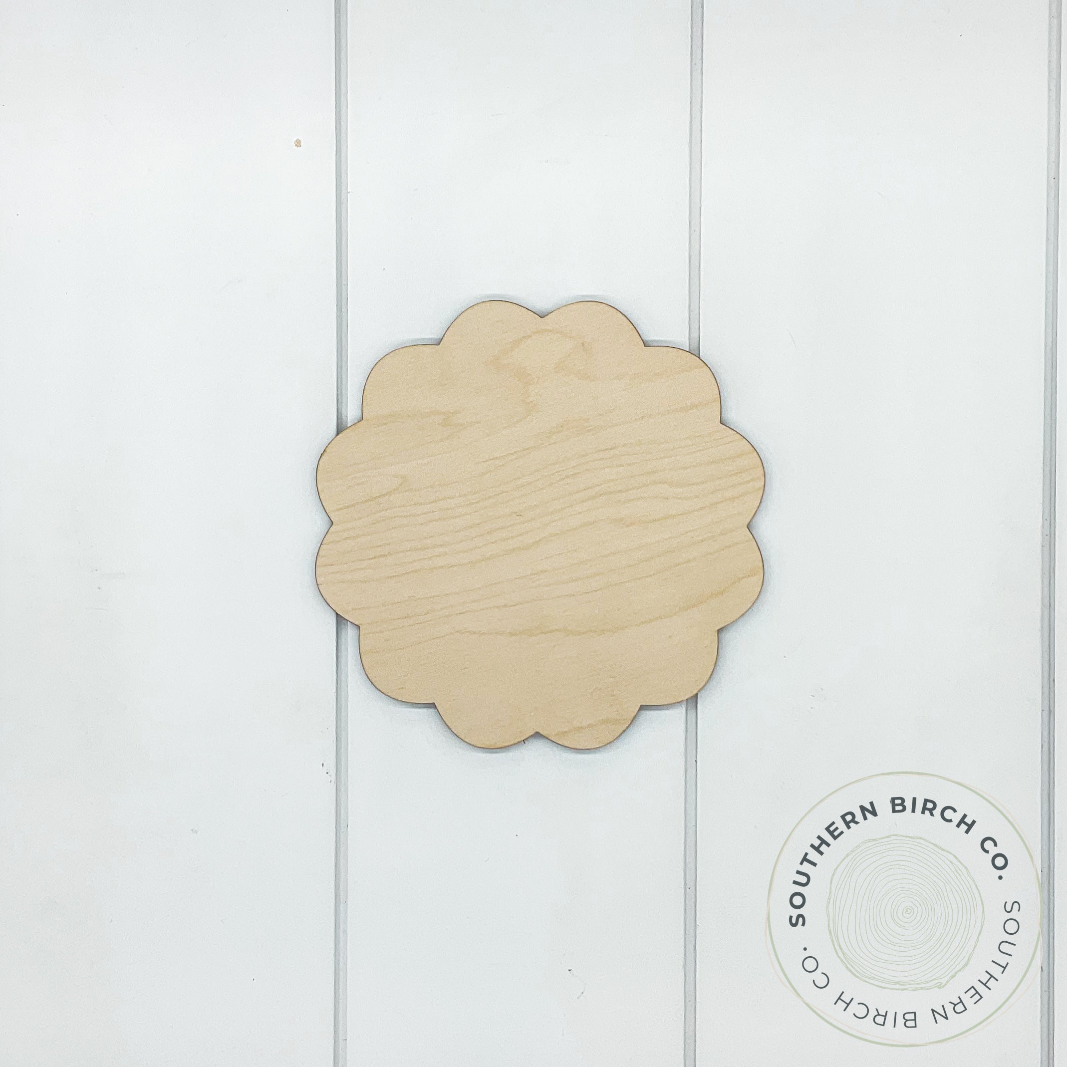 Scallop Blank