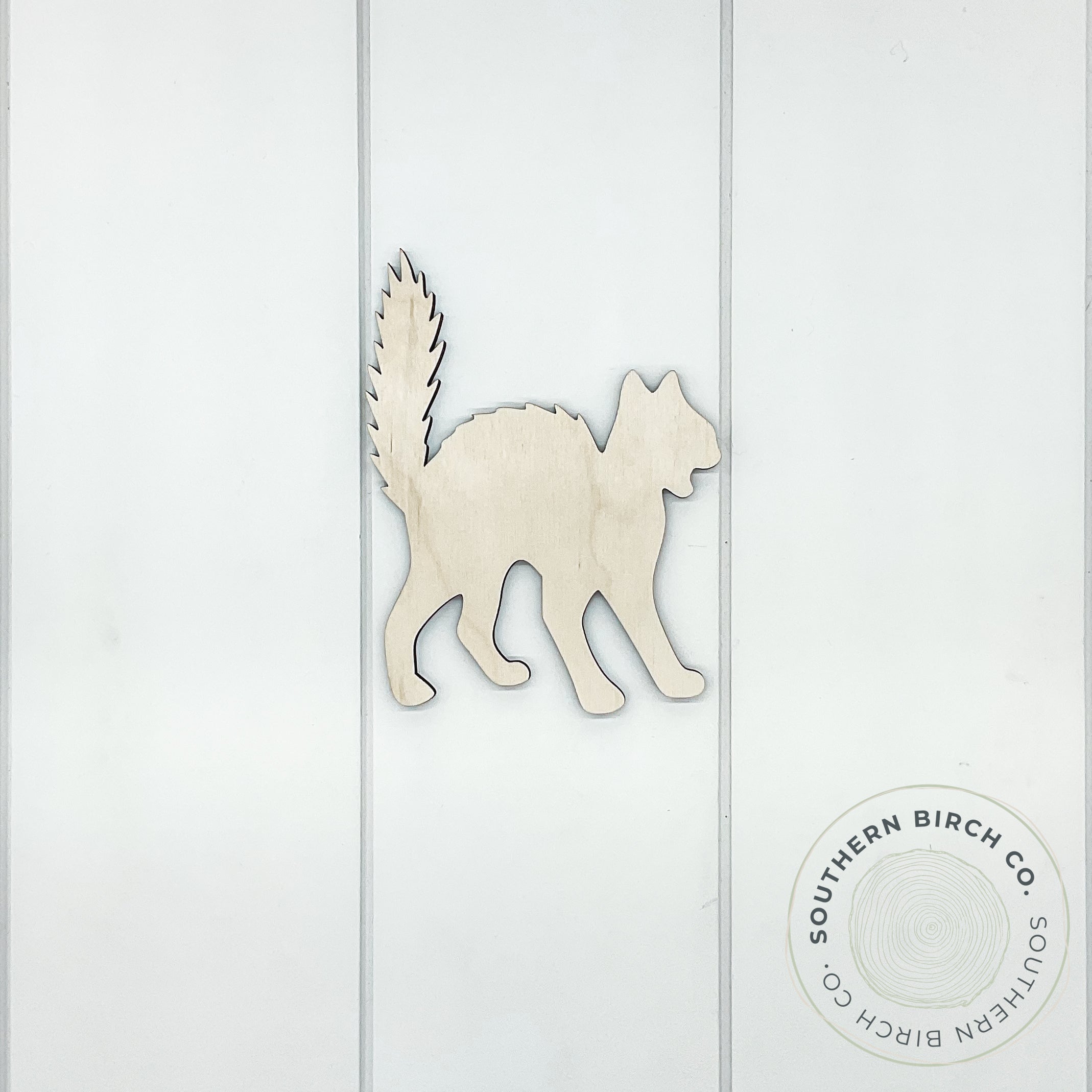 Cat Blank (Scared)