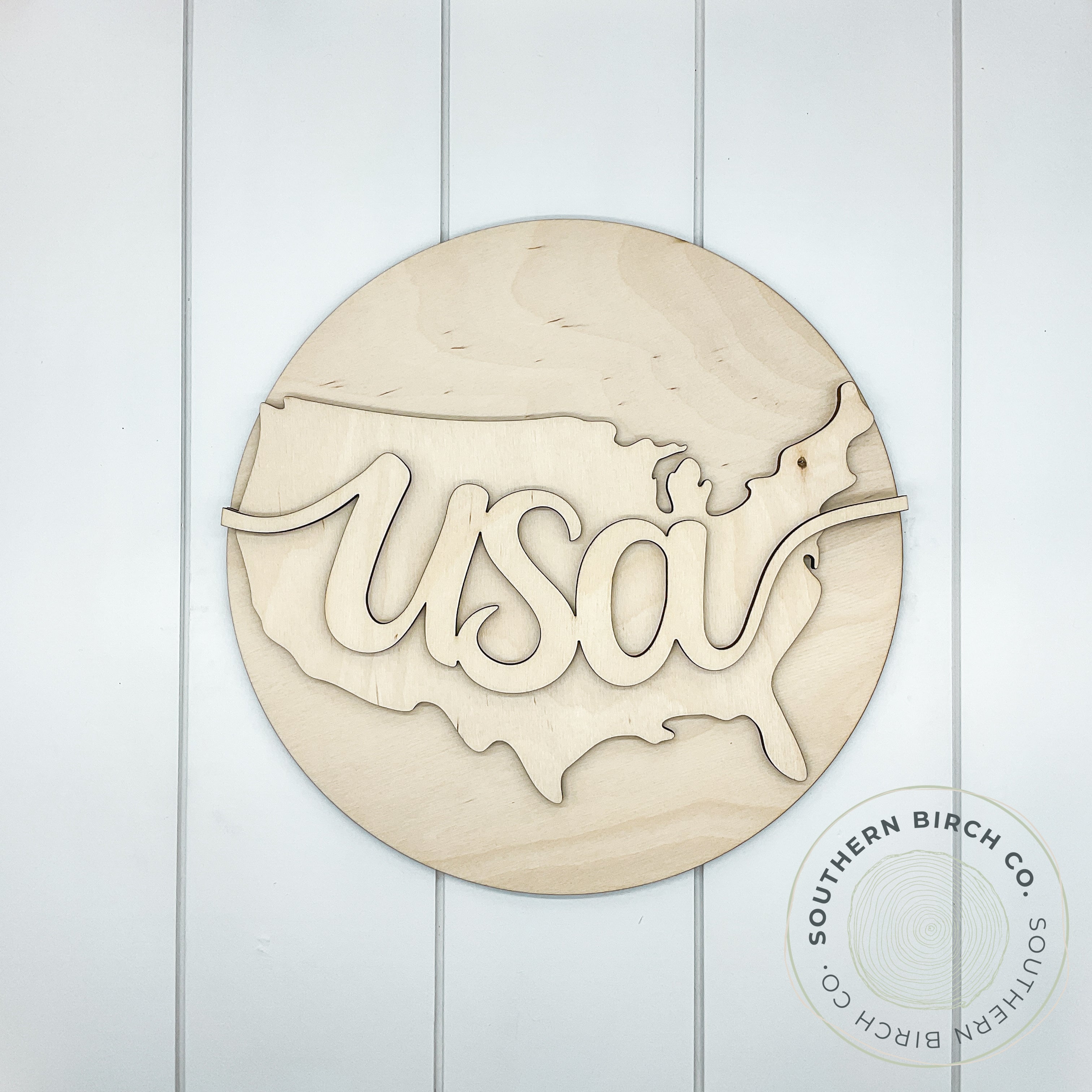 USA 3D Round Blank